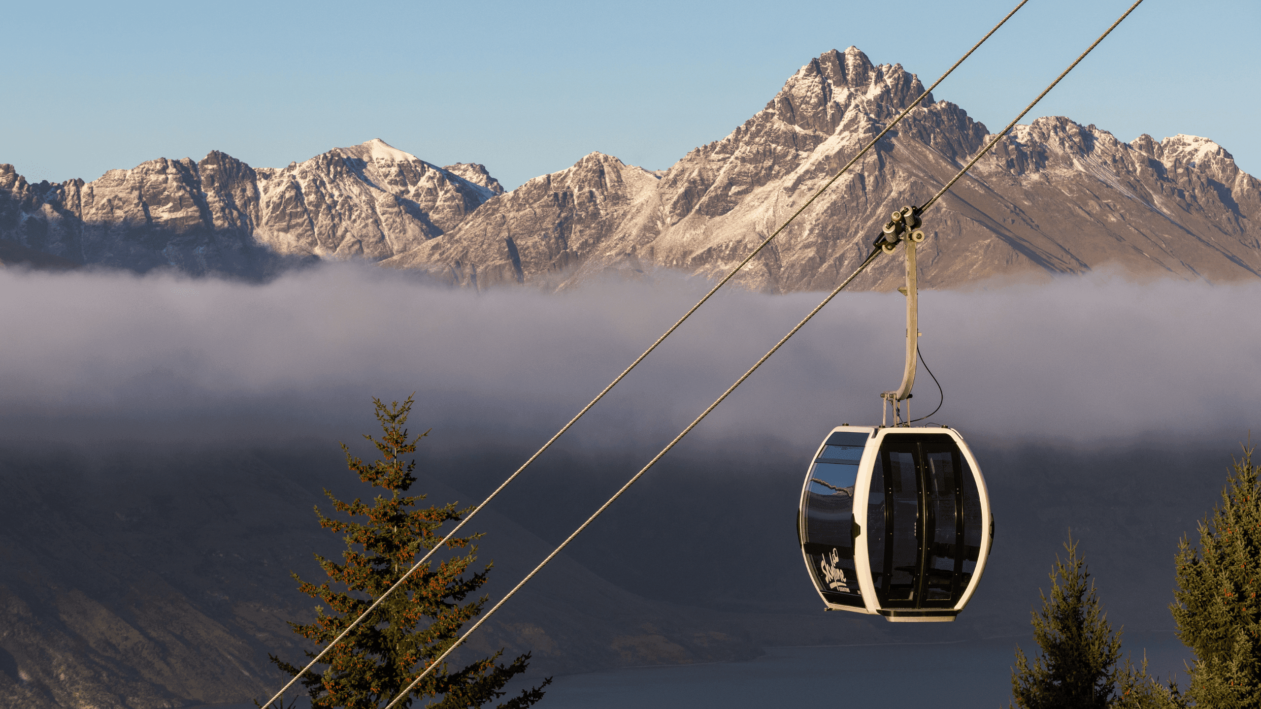 View of the Gondola going up in Queenstown, over the treetops