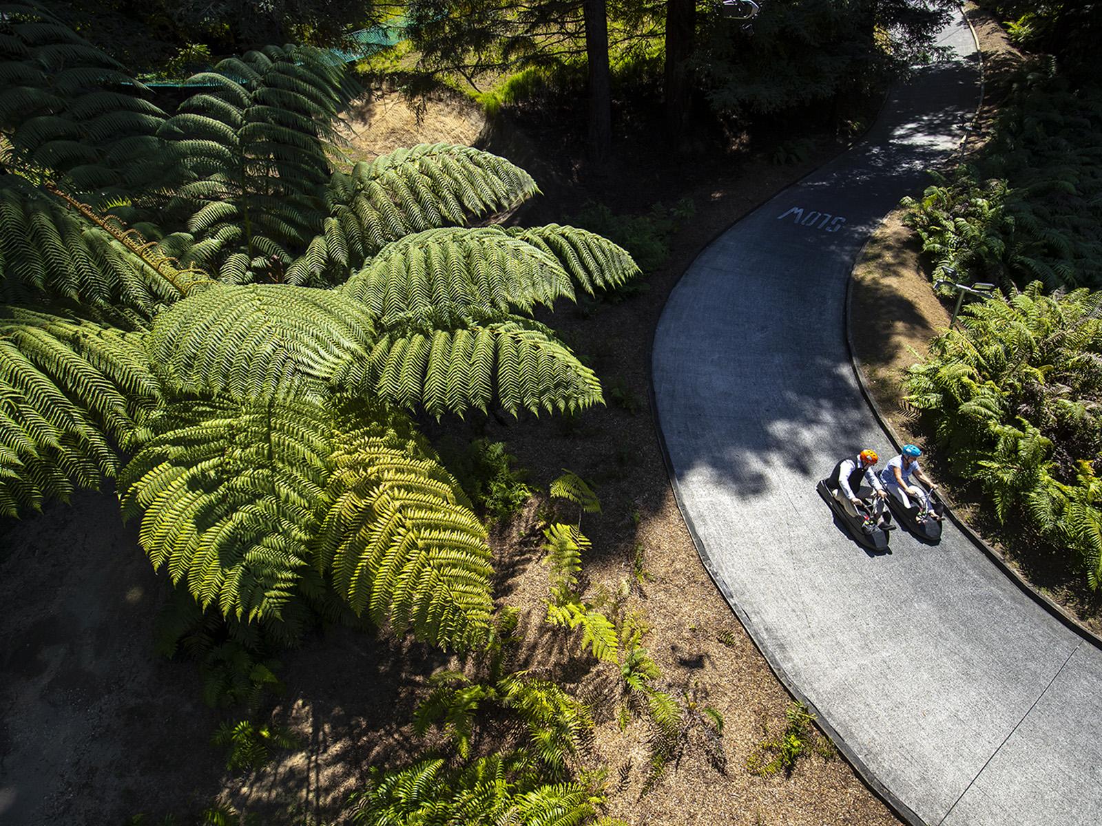 Aerial photo of the luge track with beautiful New Zealand native trees