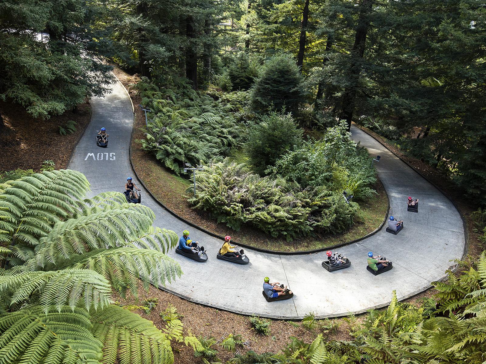 Half aerial shot of the luge track with riders going down through the forest
